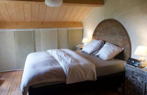 Les IRIS des Rieux - Foto 32