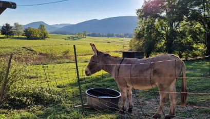 Grande maison familiale jusqu'à 14 personnes à Lans en Vercors - Foto 2