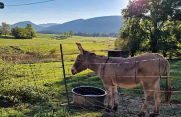 Grande maison familiale jusqu'à 14 personnes à Lans en Vercors - Foto 2