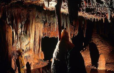 Bungalow Porec (4400-5) - Foto 5