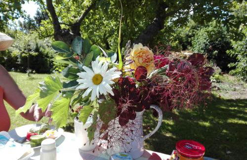 Hering FeWo I Apartment Terrace - Foto 35