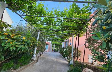 Apartment LANKA - Photo 6