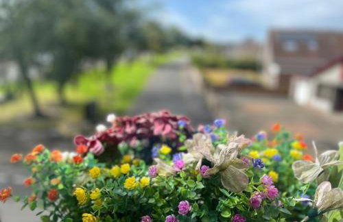 Entire Budget Friendly Apartment with Free Parking & Self Check-In - Photo 1