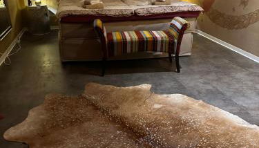 Luxurious Apartment with Sauna - Foto 5