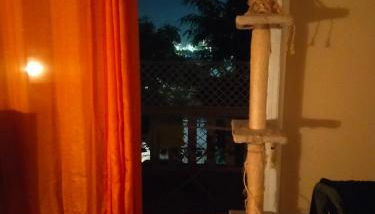 Es HABITACION en piso compartido! - Foto 3