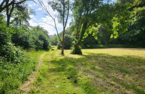 Bumbeldink - Foto 70