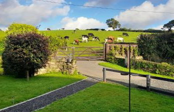 Wisteria Barn, Trewethen, Nr Port Isaac - Foto 23