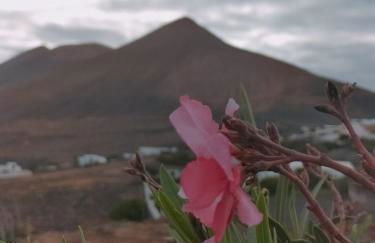 La Morreta Suites I - Lanzarote - Photo 7