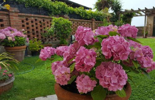 Bellavista la tua romantica vacanza sul Trasimeno - Foto 44