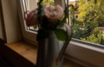 SeeZauber- gemütliche Ferienwohnung, Privatparkplatz, Cospudener See - Foto 28