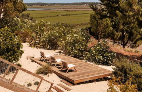 Campo de Arroz - Foto 16