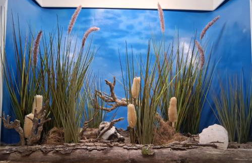 Ankerplatz - Foto 13