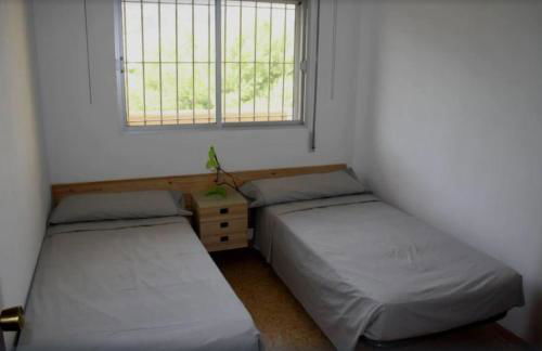 Apartamento 1ª linea de mar - Foto 5