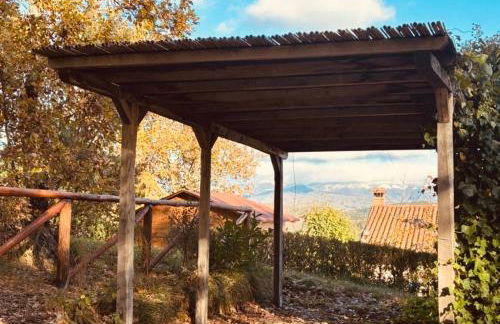 Antica Fiera - Foto 15