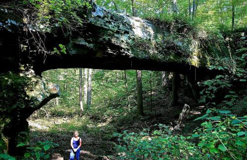 Lakefront Cabin with Fire Pit in Carbondale, Illinois - Foto 13