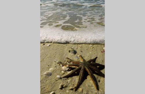 Luxury Beach Condo Located On The Bay In A Tropical Oasis!!! - Foto 56