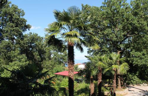 Apartment Tominovic - Foto 62