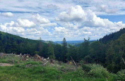 Terrace Retreat in Winterberg - Foto 62