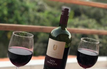 Cantim da Flor - Vale do Capão - Foto 77