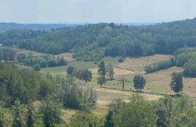 Casa Florian - Foto 16