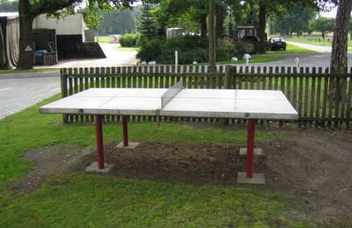 Ferienhof Drewes Ranch - Foto 11