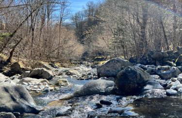 La Bergerie Marie - Photo 21