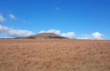 Greenways at Coed Cae Farm - Photo 64