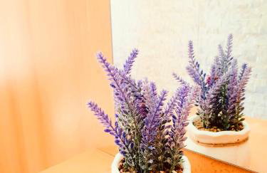 Dalmatian House, spacious stone terraces, balcony , views - Foto 55