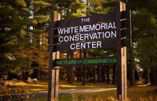 Historic Colonial Pool Walk to Town - Foto 30