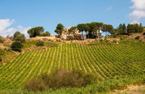 Feudo del Biviere - Foto 31