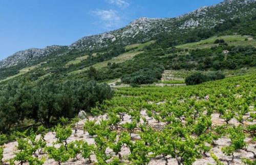 Apartments Villa Dinga -Borak - Two Bedroom Apartment with Terrace No 1 - Foto 34