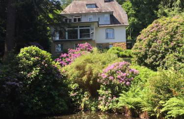 Villa Elfenstein - Foto 1