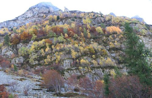 Les Serintes - Foto 25