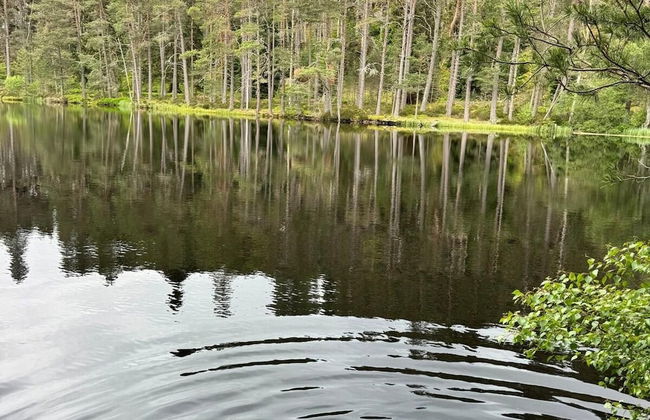 Highland Chalet Retreat in Boat of Garten - Foto 25