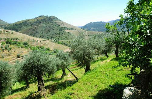 Casa Oliveiras do Douro - Foto 34