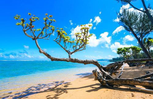 Hale La'Au Pohaku TVNC#4255 - Foto 5
