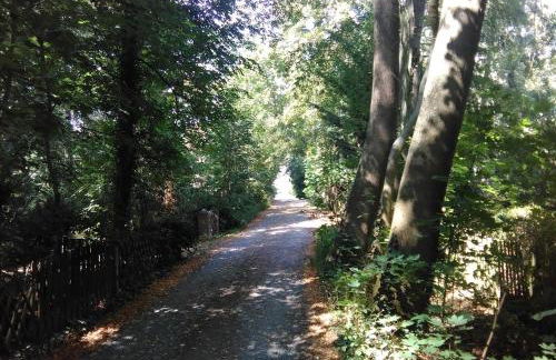 Haus Göhrenz - Photo 20