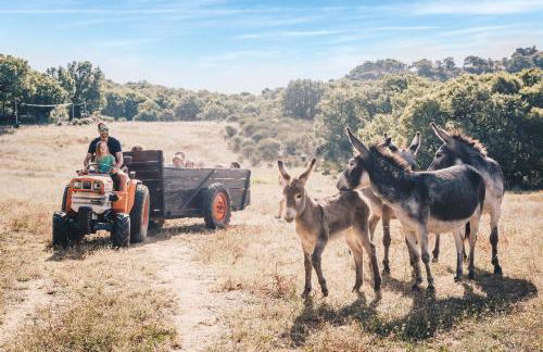 Country Kids Resort - Family Holidays France - Foto 1