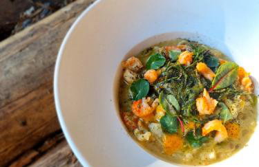 Maciejówka Borki 33 - Foto 30