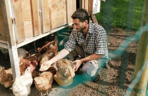 Dolomitihouse ZIRMOL - Foto 40