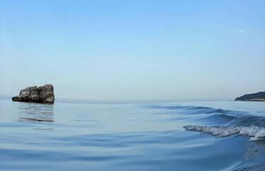 Feel at Home - Photo 29