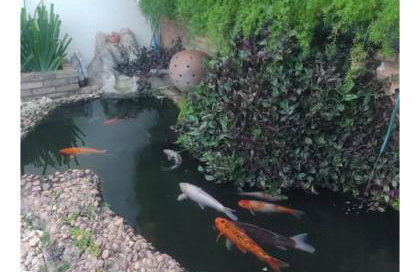 Quarto Aconchegante Apartamento compartilhado - Foto 6