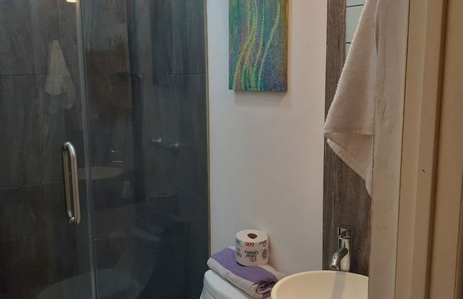 Le Colibri Récif Studio - Foto 13