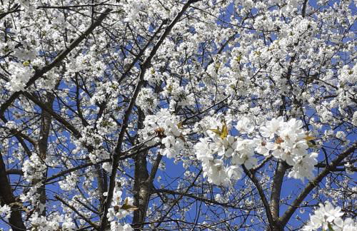 Cascina Linét - Foto 2