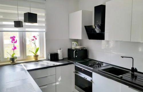 Apartment Histria - Photo 3