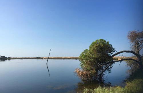 Victory Village T1 & Rooftop terrace - Foto 35