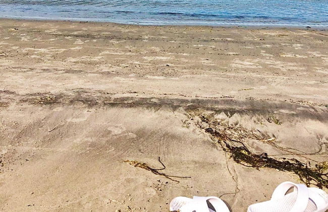 8 Person Holiday Home in Averoy-by Traum - Foto 28