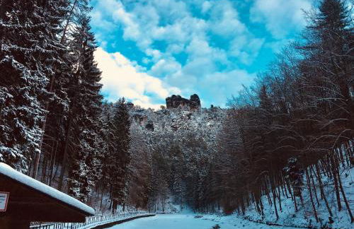 Ferienwohnung Am Grünbach 1 - Photo 28
