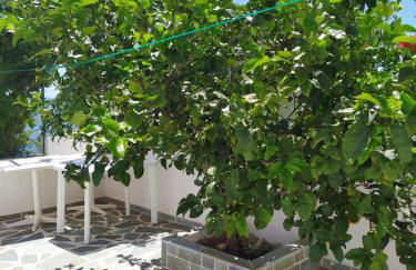 Korasida Blue Coast - Foto 12