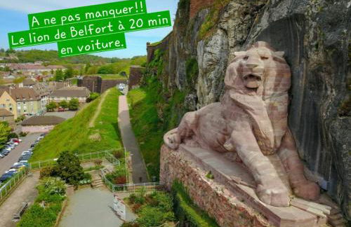 F3 centre d hericourt Fibre et Netfix - Foto 23